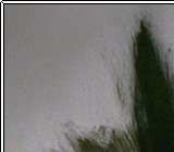 Always And Forever 01