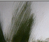 Always And Forever 02