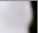 Always And Forever 05