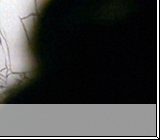 Always And Forever 20