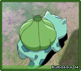 Bulbasaur 14
