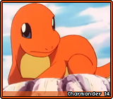 Charmander 14