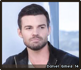 Daniel Gillies 14