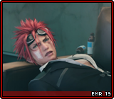 EMR 19