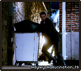 Hayley Hallucination 19