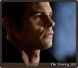 I’m Sorry 20