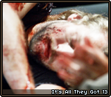 It's All They Got 13