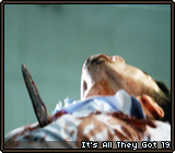 It's All They Got 19