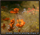 Jeans, Shorts and Flip Flops 01