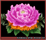 Kinmoku Star Power 01