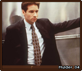Mulder 04