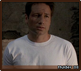 Mulder 08