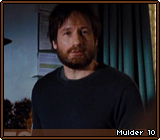 Mulder 10