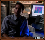 Mulder 13