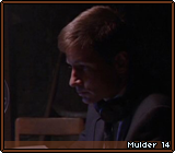 Mulder 14