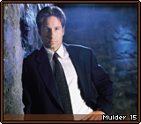 Mulder 15