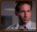 Mulder 16