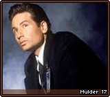 Mulder 17