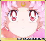 New Transformation 13
