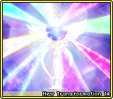 New Transformation 14