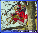 Ninninger Cameo 02