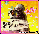 Ninninger Cameo 15