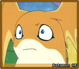 Patamon 05