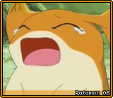 Patamon 06