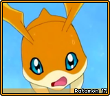 Patamon 17