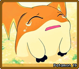 Patamon 19