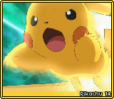 Pikachu 14