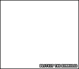 Protect The Summoner 00