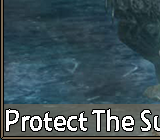 Protect The Summoner 16