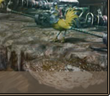 Protect The Summoner 20