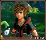 Sora 05