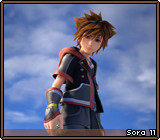 Sora 11
