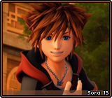 Sora 13