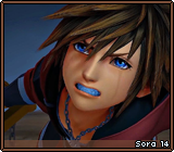Sora 14