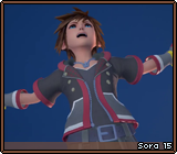 Sora 15