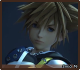 Sora 16