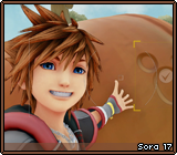 Sora 17