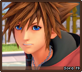 Sora 19