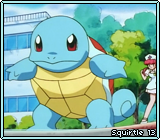 Squirtle 13