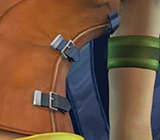 The Final Guardian 13