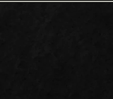 The Originals Logo 04