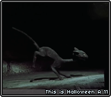 This is Halloween A 11