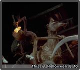 This is Halloween B 10