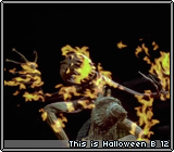 This is Halloween B 12