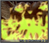This is Halloween B 13