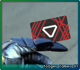 ToQger Cameo 01